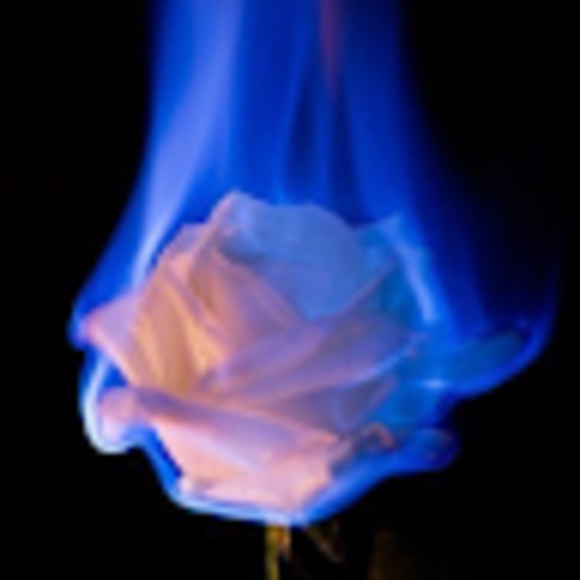 Meet your Posher, Tori - Picture 1 of 1